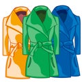 Cloth feminine coat blue,green,and red colour.Vector illustration