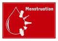 Vector illustration of feminine hygiene products, menstruation bleeding period. Sanitary pads, tampons and menstrual cup for perso