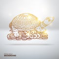 Vector illustration with Feng Shui turtle Royalty Free Stock Photo