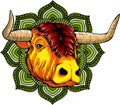 Vector illustration, a ferocious bull head on a white background Royalty Free Stock Photo