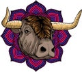 Vector illustration, a ferocious bull head on a white background Royalty Free Stock Photo