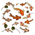 Vector Illustration Fishes Carps Koi. Royalty Free Stock Photo