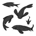 Vector Illustration Fishes Carps Koi. Royalty Free Stock Photo