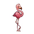 Vector illustration of flamingo in cartoon style