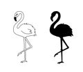 Vector illustration of flamingo in outline style is isolated on white. Black silhouette of tropical bird flamingo Royalty Free Stock Photo