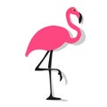 Vector illustration of Flamingo pink on a white background