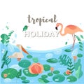 Vector illustration. Flamingos, pelicans, exotic birds. Stylized aquatic plants