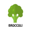 Vector Illustration Flat Broccoli isolated on white background , Raw materials fresh Royalty Free Stock Photo