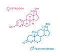 Estrogen and testosterone hormones symbol. Sex hormones molecular formula.