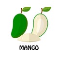 Vector Illustration Flat Green Mango isolated on white background , minimal style , Raw materials fresh Royalty Free Stock Photo