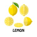 Vector Illustration Flat Lemon isolated on white background , minimal style , Raw materials fresh