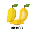 Vector Illustration Flat Mango isolated on white background , minimal style , Raw materials fresh Royalty Free Stock Photo