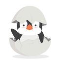 Cute baby penguin fat hatched in egg vector Royalty Free Stock Photo