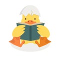 Duck Reading A Book with Broken egg shell Royalty Free Stock Photo