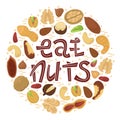 Vector illustration with flat nuts arranged in a circle shape with lettering - eat nuts