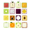 Vector illustration in a flat style paper with shadows,the image square stylized fruit