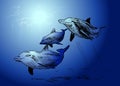 Vector illustration floatin dolphins Royalty Free Stock Photo