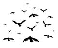 Vector illustration a flock of flying birds. starlings