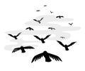 Vector illustration a flock of flying birds. starlings