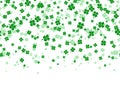 Vector illustration of floral seamless border with four leaved green clover