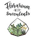 Vector illustration of a florarium with succulents