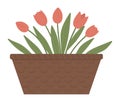 Vector illustration of flower bed. Garden decorative basket like flowerbed with tulips. Beautiful spring and summer plants, herbs Royalty Free Stock Photo