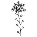 Vector illustration of a flower in doodle style Royalty Free Stock Photo