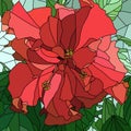 Vector illustration of flower hibiscus (Chinese rose).