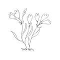 Vector illustration of a flower. Stock illustration isolated on a white background linear design for scrapbooking and thematic