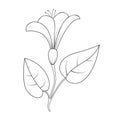 Vector illustration of a flower. Stock illustration isolated on a white background linear design for thematic drawings