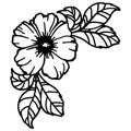 2502 flower, vector illustration, flower template with leaves in black, isolate on a white background, tattoo ornament, for differ Royalty Free Stock Photo