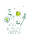 Illustration of Flowers, chamomile, bells, wildflowers. Spring summer floral pattern on a white background