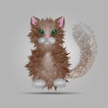 Vector illustration of a fluffy cat isolated on gray background.