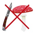 Vector illustration of fly agaric mushroom with a knife Royalty Free Stock Photo