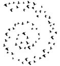 Vector Flying Birds. Nature, animal background. Royalty Free Stock Photo