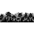 Vector illustration of a forest border. Silhouette of coniferous and deciduous trees in black and gray layers, creating a depth Royalty Free Stock Photo