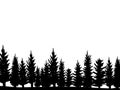 Forest of Christmas fir trees silhouette. Coniferous spruce panorama. Park of evergreen wood. Vector on white background Royalty Free Stock Photo