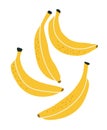 Vector illustration of four bananas on a white background. Royalty Free Stock Photo