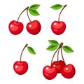 Set of four bunches of cherry berries. Vector illustration.