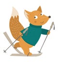 Vector illustration of fox in clothes skiing.