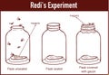 vector illustration of a Francesco Redi 1668 experiment