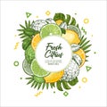 Fresh citrus design template. Engraved style illustration. Organic fruits packaging design. Vector illustration