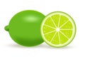 Vector illustration of fresh lime isolated on white background. Royalty Free Stock Photo