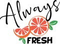 Vector illustration of always fresh orange