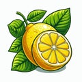 vector illustration fresh yellow lemon slices Royalty Free Stock Photo