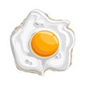 Vector illustration Fried shiny chicken Egg