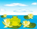 Frog sits on water lily in pond Royalty Free Stock Photo