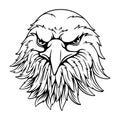 Vector illustration front view of the eagle`s head gallantly