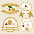 Vector illustration for fruit yellow longan