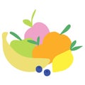 Vector illustration of fruits in simple style Royalty Free Stock Photo